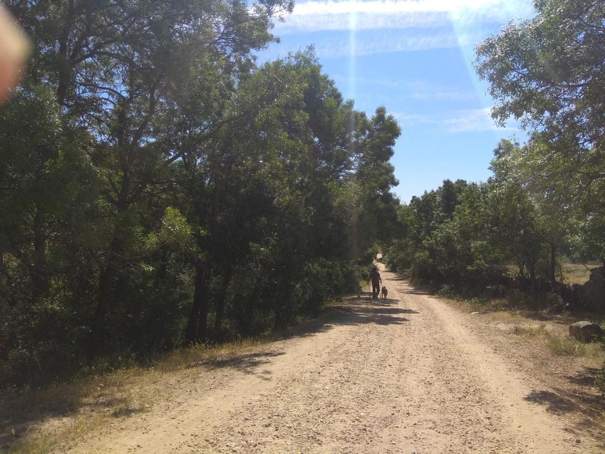 Acogedora Casa Rural En La Sierra De Madrid Mataelpino Luaran gambar