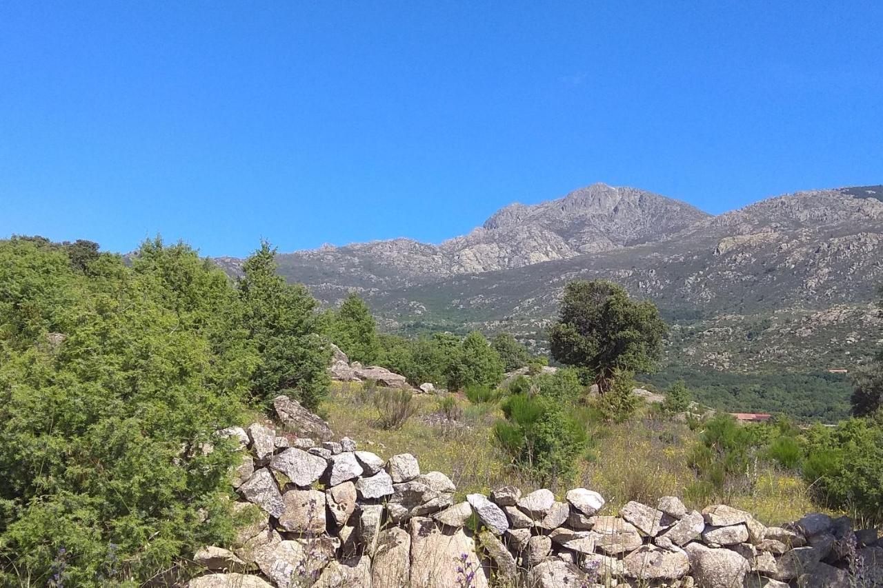 Acogedora Casa Rural En La Sierra De Madrid Mataelpino Luaran gambar