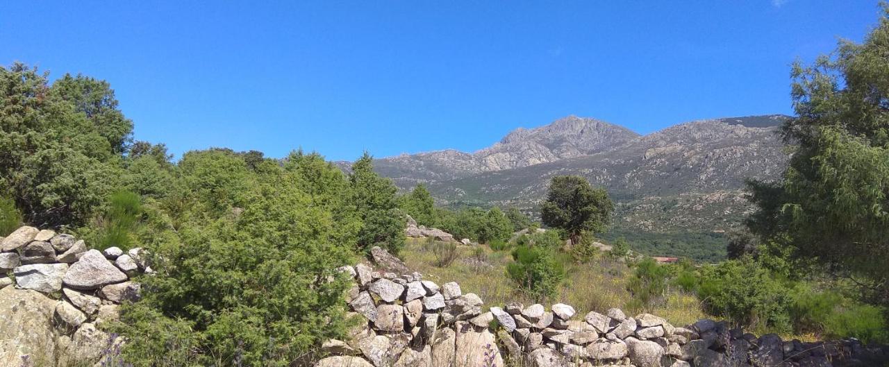 Acogedora Casa Rural En La Sierra De Madrid Mataelpino Luaran gambar